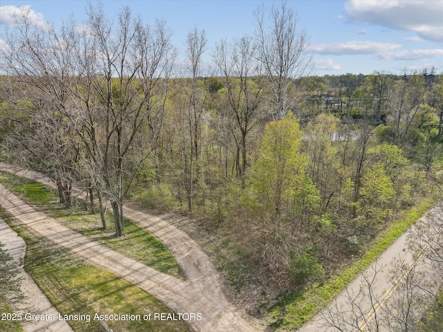VL W Kinsel Hwy, Charlotte, MI 48813
