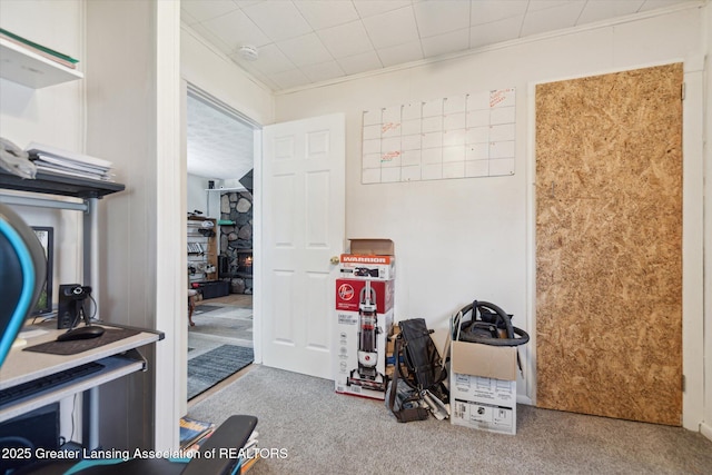 miscellaneous room featuring carpet floors