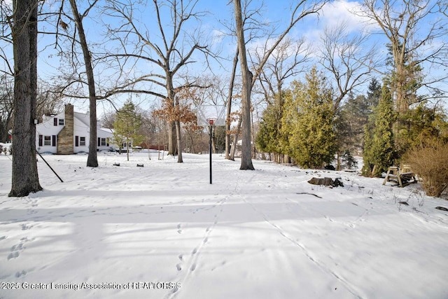 view of yard layered in snow