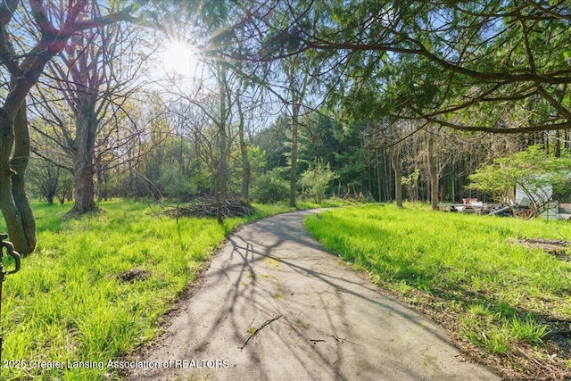 view of street with a forest view