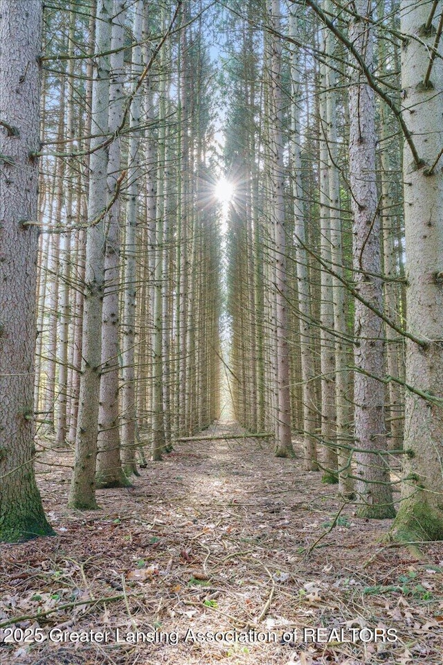 view of nature