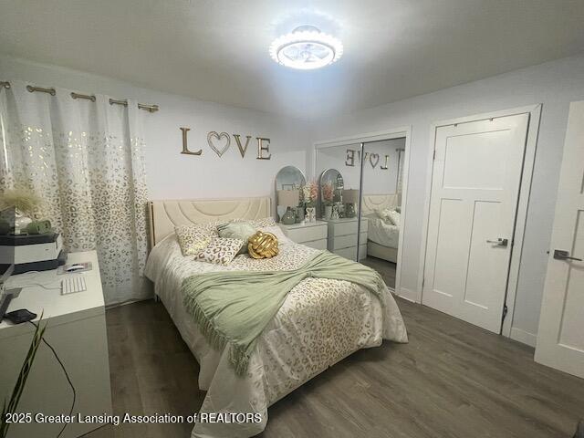 6422 E Saginaw Hwy, Grand Ledge, MI 48837 - bedroom with wood finished floors and a closet