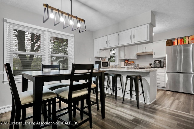910 Pecos Dr, Lansing, MI 48917 - dining area with healthy amount of natural light, dark wood-type flooring, a textured ceiling, and baseboard heating