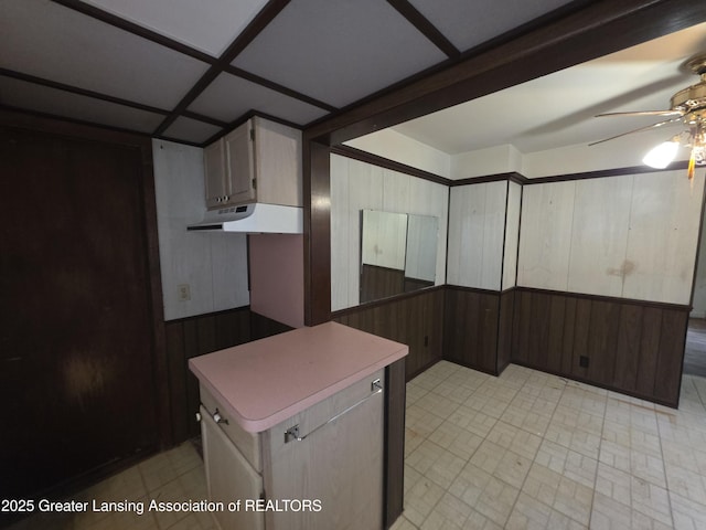 526 Fenton St, Lansing, MI 48910 - kitchen with under cabinet range hood, ceiling fan, wood walls, light countertops, and a center island