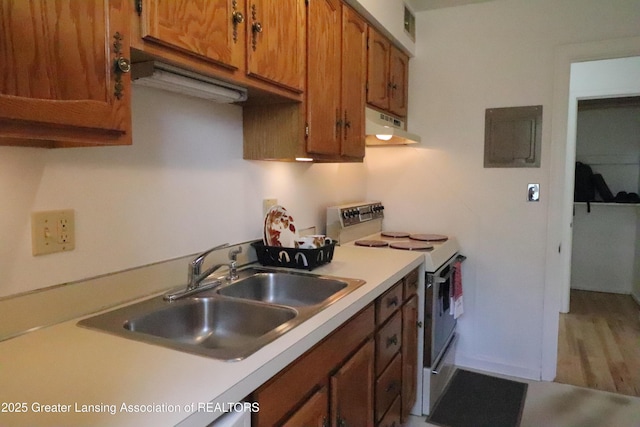 kitchen featuring white electric range, a sink, under cabinet range hood, brown cabinets, and light countertops