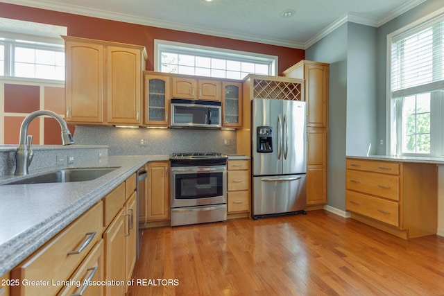 kitchen with stainless steel appliances, a sink, plenty of natural light, and crown molding