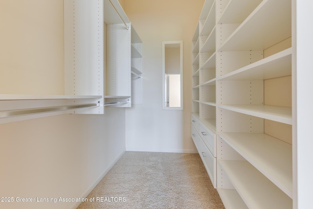walk in closet with light colored carpet