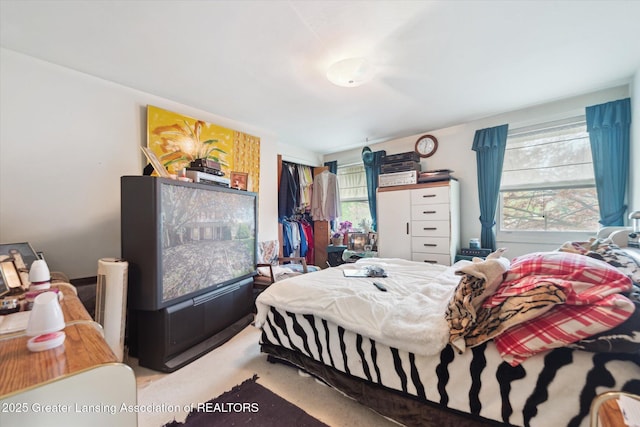 bedroom featuring multiple windows