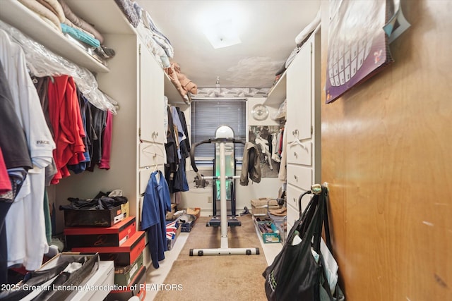 spacious closet with carpet floors