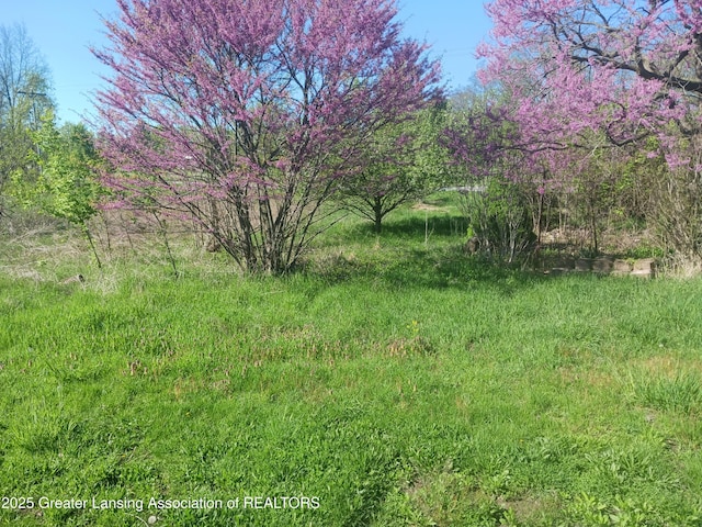 5340 Old Plank Rd, Onondaga, MI 49264