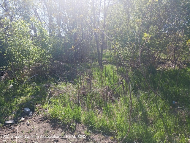 5340 Old Plank Rd, Onondaga, MI 49264