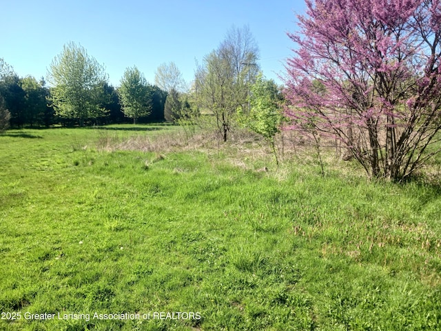 5340 Old Plank Rd, Onondaga, MI 49264
