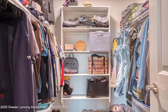 view of spacious closet