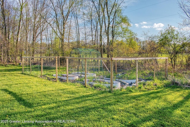 view of green lawn with a vegetable garden