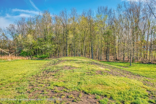 view of grassy yard featuring a forest view