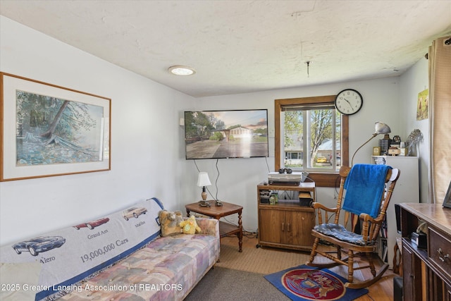 933 W Northrup St, Lansing, MI 48911 - view of living area