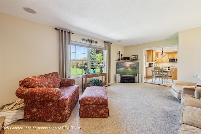living area with carpet floors