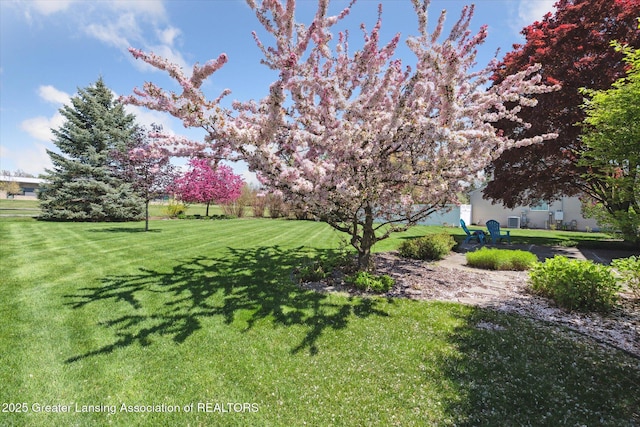 view of green lawn