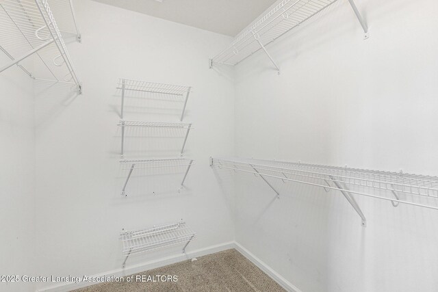 6669 Cotswald Dr Unit 126, Grand Ledge, MI 48837 - spacious closet featuring carpet flooring