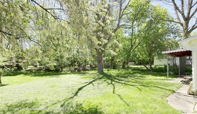 600 E Howe Ave, Lansing, MI 48906 - photo 3