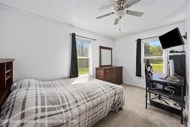 5364 Drumheller Rd, Bath, MI 48808 - carpeted bedroom with multiple windows, a textured ceiling, a ceiling fan, and baseboards
