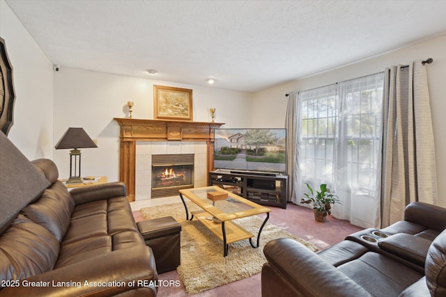 900 Oneida Woods Trl, Grand Ledge, MI 48837 - carpeted living area featuring a fireplace and a textured ceiling