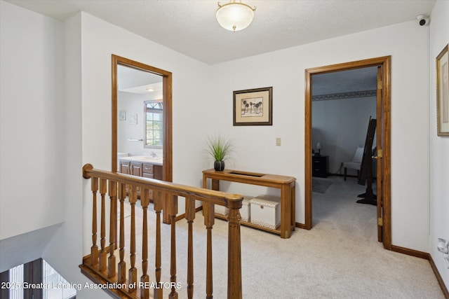 900 Oneida Woods Trl, Grand Ledge, MI 48837 - corridor with an upstairs landing, light carpet, and a sink