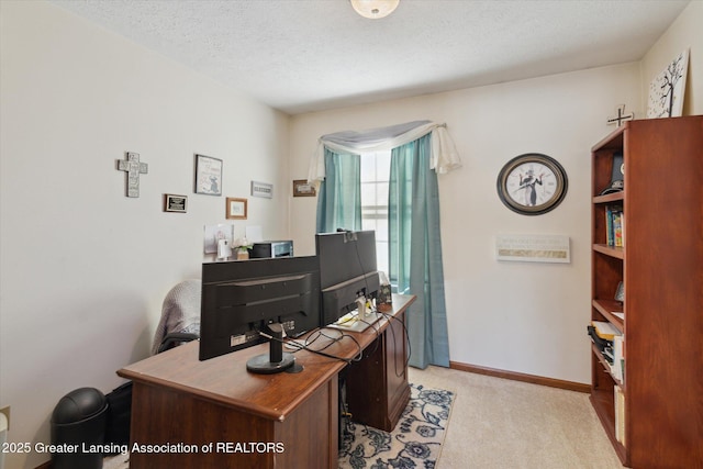 900 Oneida Woods Trl, Grand Ledge, MI 48837 - home office with light colored carpet, baseboards, and a textured ceiling