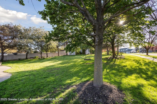 900 Oneida Woods Trl, Grand Ledge, MI 48837 - view of yard