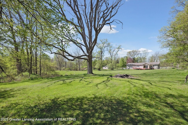 3415 W Needmore Hwy, Charlotte, MI 48813 - view of green lawn