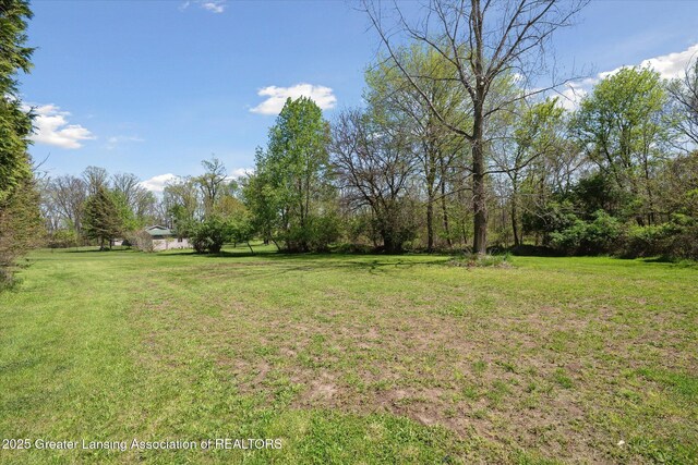 3415 W Needmore Hwy, Charlotte, MI 48813 - view of grassy yard