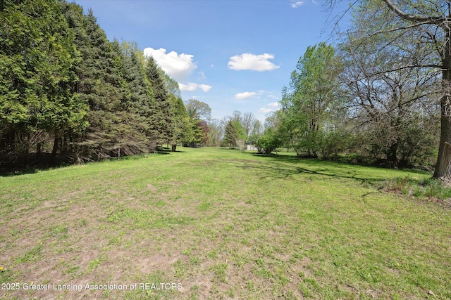 3415 W Needmore Hwy, Charlotte, MI 48813 - view of grassy yard