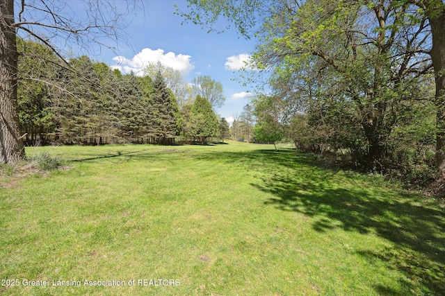 3415 W Needmore Hwy, Charlotte, MI 48813 - view of green lawn featuring a view of trees