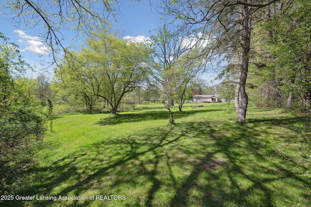 3415 W Needmore Hwy, Charlotte, MI 48813 - view of green lawn