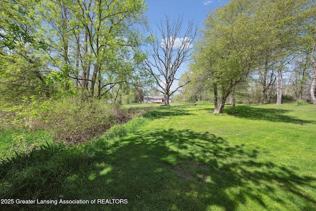 3415 W Needmore Hwy, Charlotte, MI 48813 - view of grassy yard