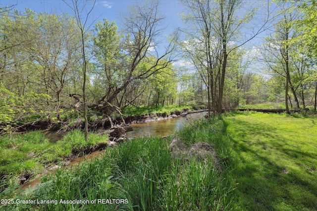 3415 W Needmore Hwy, Charlotte, MI 48813 - view of green lawn