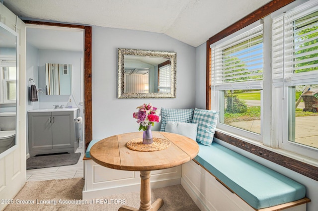 15496 Park Lake Rd, East Lansing, MI 48823 - bathroom with toilet, vaulted ceiling, vanity, and tile patterned flooring