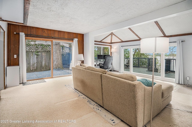 15496 Park Lake Rd, East Lansing, MI 48823 - living room featuring a desk, wood walls, and a textured ceiling