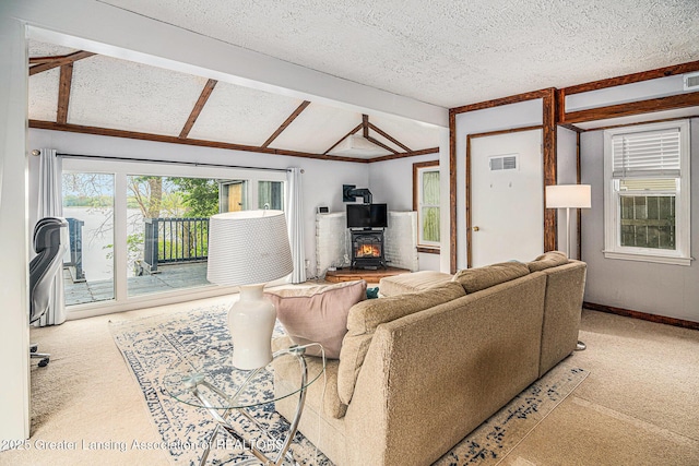 15496 Park Lake Rd, East Lansing, MI 48823 - living room with carpet flooring, a wood stove, and a textured ceiling