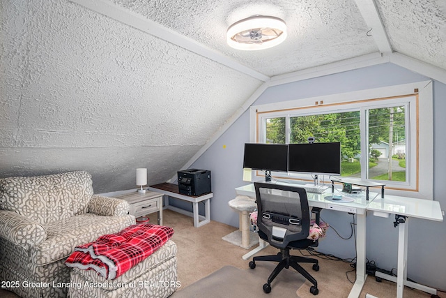 15496 Park Lake Rd, East Lansing, MI 48823 - carpeted office featuring lofted ceiling and a textured ceiling