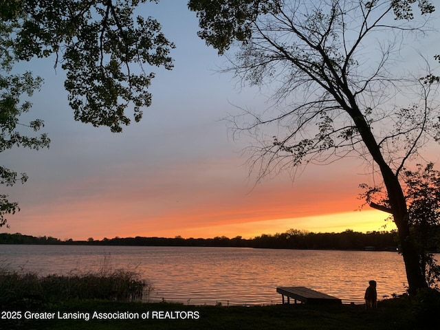 15496 Park Lake Rd, East Lansing, MI 48823 - water view