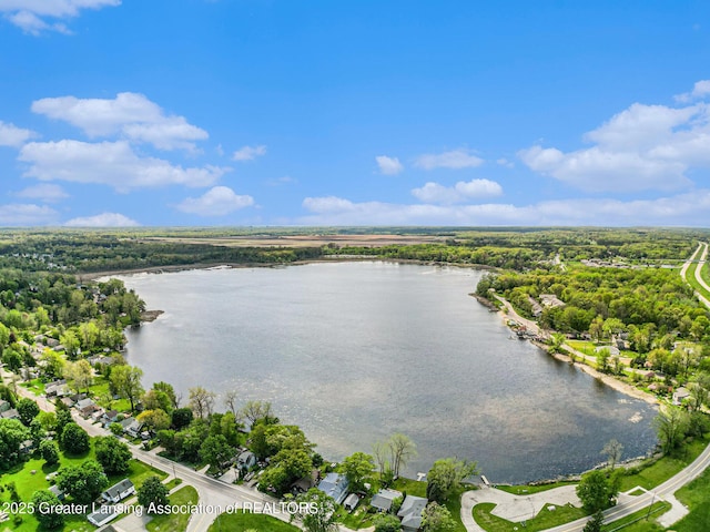 15496 Park Lake Rd, East Lansing, MI 48823 - bird's eye view of a large body of water