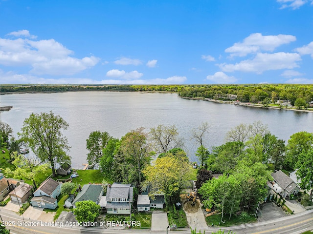 15496 Park Lake Rd, East Lansing, MI 48823 - aerial perspective of suburban area with a large body of water