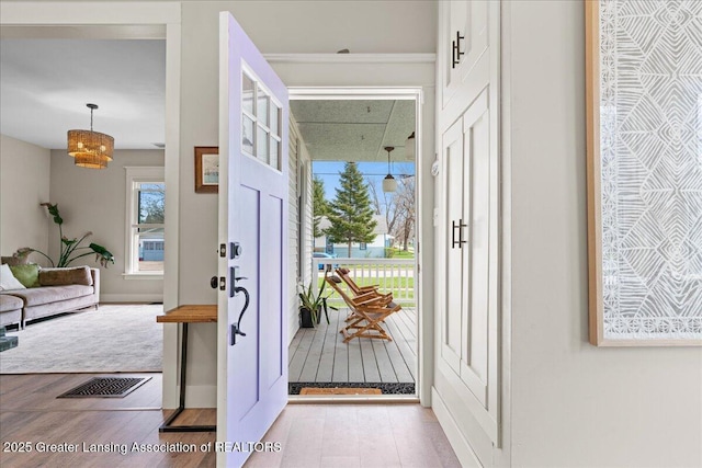 607 Ogemaw St, Grayling, MI 49738 - entryway featuring wood finished floors and baseboards