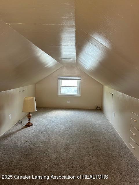 1209 Hapeman St, Lansing, MI 48915 - bonus room with carpet flooring and vaulted ceiling