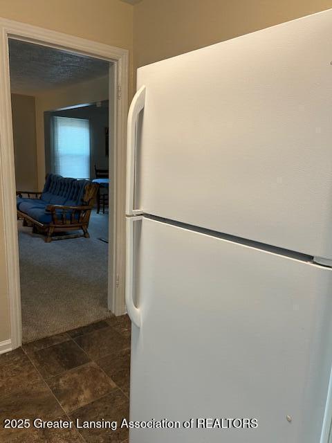 1209 Hapeman St, Lansing, MI 48915 - kitchen view of freestanding refrigerator and dark carpet