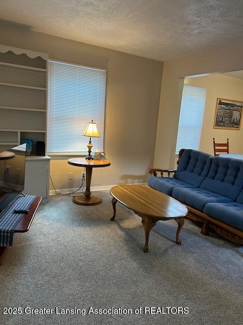 1209 Hapeman St, Lansing, MI 48915 - living room featuring carpet flooring and a textured ceiling