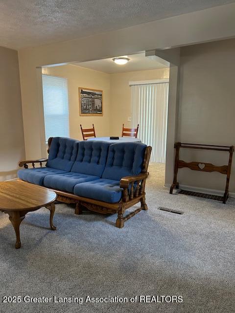 1209 Hapeman St, Lansing, MI 48915 - living area featuring carpet floors, a textured ceiling, and baseboards