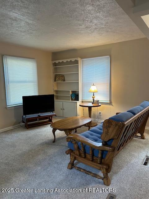 1209 Hapeman St, Lansing, MI 48915 - sitting room featuring carpet, a textured ceiling, and baseboards