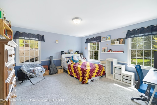 2038 Woodfield Rd, Okemos, MI 48864 - view of carpeted bedroom